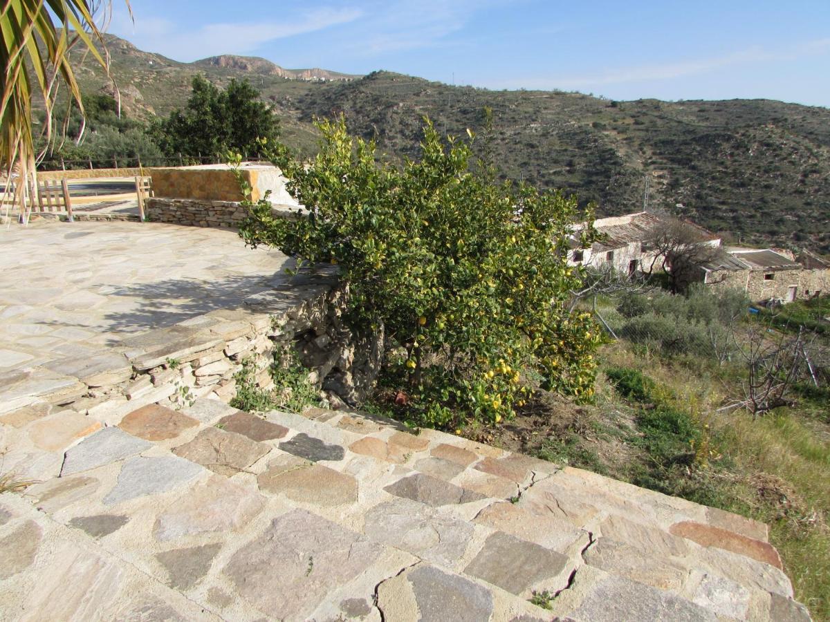 Vila Albarico Retreat Bédar Exteriér fotografie